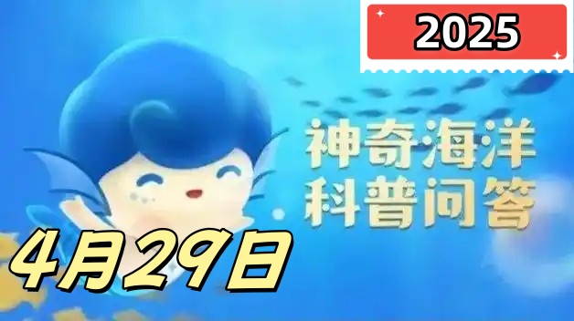 海参是软体动物吗