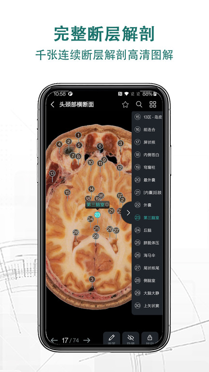 掌上3d解剖app v2.8.0 安卓版 0