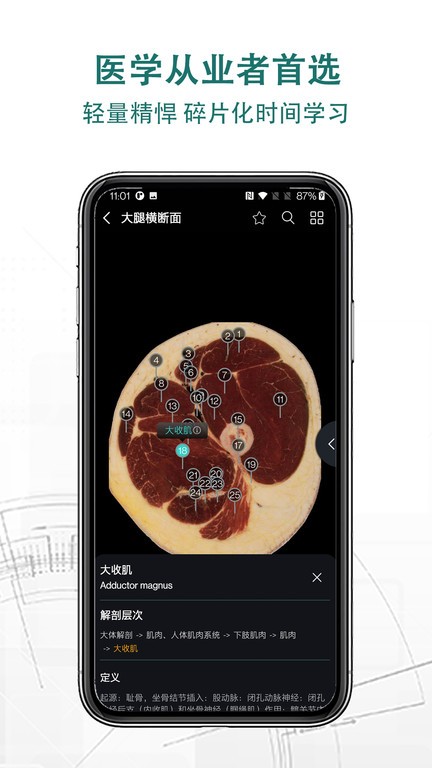 掌上3d解剖app v2.8.0 安卓版 3