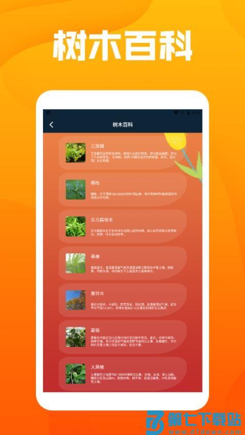 花朵物语pro免费版v1.3 2