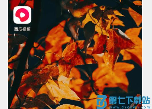 西瓜视频app看电视剧教程