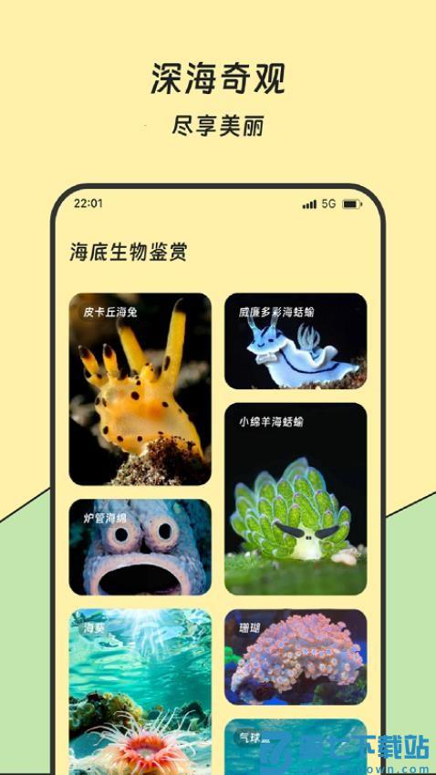 红火流量管家最新版v3.5.0 1