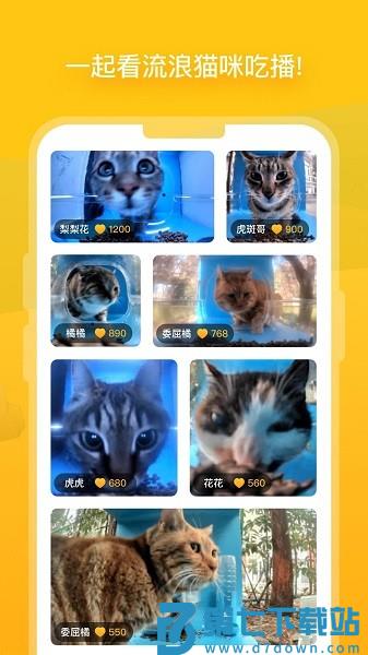 哈啰街猫软件v2.4.1 2