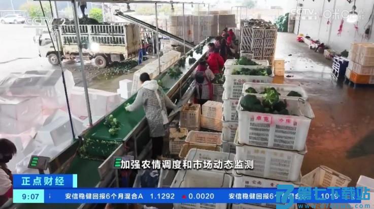 榴芒直播 榴芒直播tv版