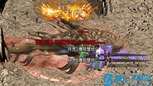 龙城决灵根天命攻略