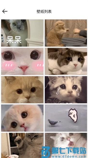 壁纸集app v1.0.3 安卓版 3