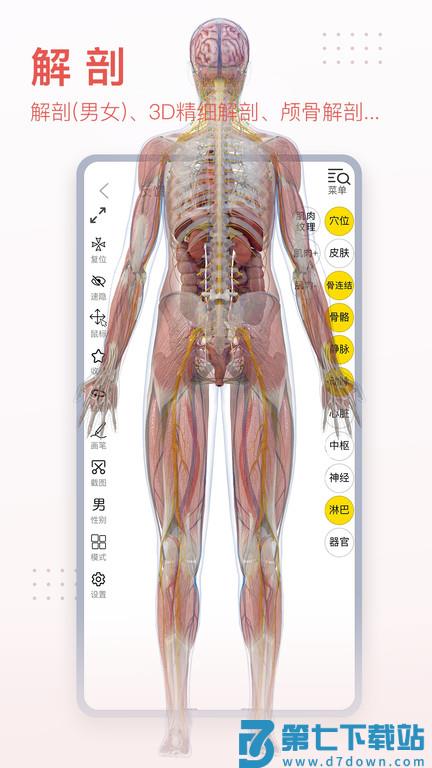 3dbody解剖图手机版下载