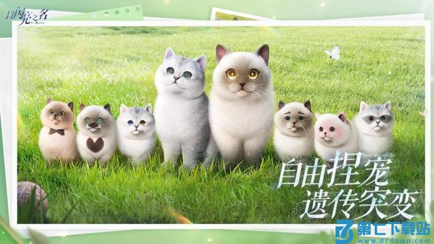 以闪亮之名手游v2.2.9 5