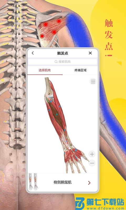 3dbody解剖学专业版 v8.8.60 安卓手机版 3