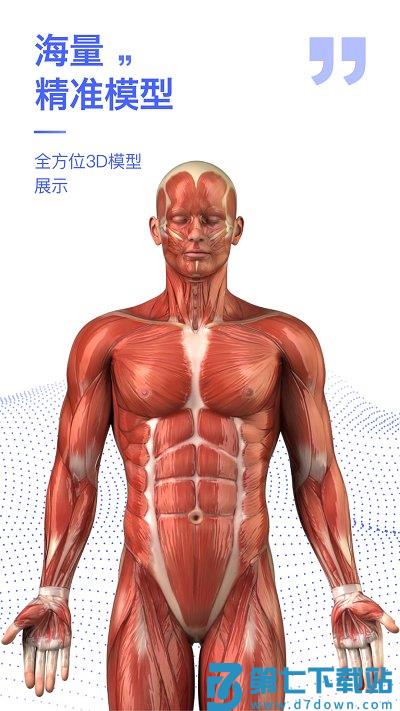 解剖学图谱app v2.4.2 安卓版 1