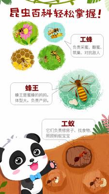 奇妙昆虫世界小游戏官方版 v9.88.00.00 安卓版 3