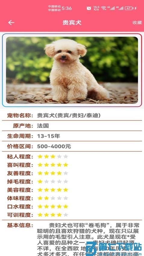 宠物宝宝大全官方版v1.010 2