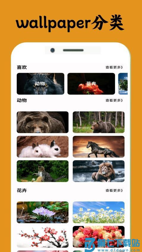 闪玩wallpaper官方版v0.0.8 3