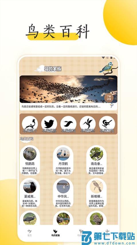 小鸟壁纸大全免费版v1.8 2