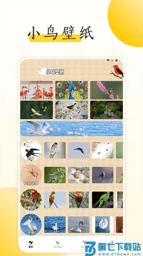 小鸟壁纸大全免费版