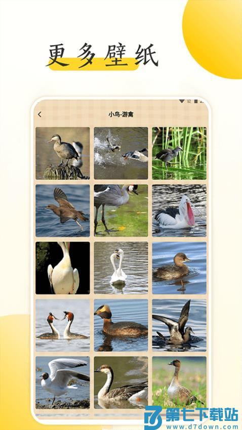 小鸟壁纸大全免费版v1.8 3