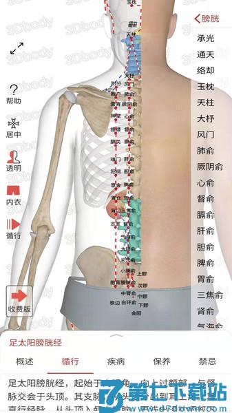 3d经络穴位app(知源经络穴位) v3.7.1 安卓版 0
