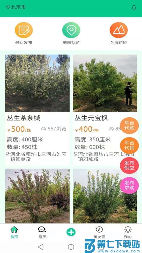 苗木人最新版v6.4.5 4