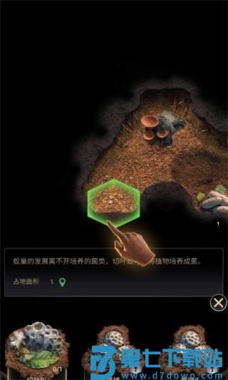 蚂蚁地下王国官方版