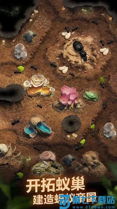 蚂蚁地下王国游戏(the ants) v3.80.0 安卓官方正版 0