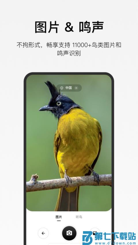 懂鸟官网版v1.4.1 3