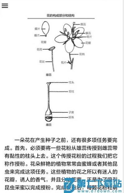中国野外植物识别手册 v1.0.0 安卓版 1