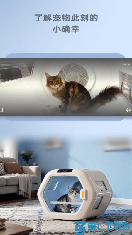 WisdomTail官方版v1.1.0 1