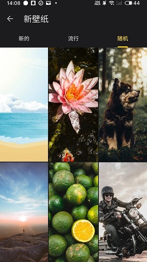 快全全壁纸 v1.0.1 安卓版 0