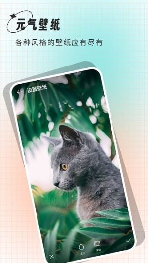 克拉壁纸 v7.0 手机版 2