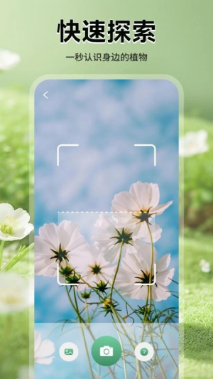花团锦绣拾光 v1.1 安卓版 2