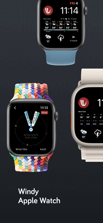 windy气象官方版 v48.0.3 安卓版 3