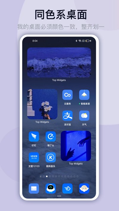 万能小组件主题软件(Top Widgets) v4.3.1 安卓版 1