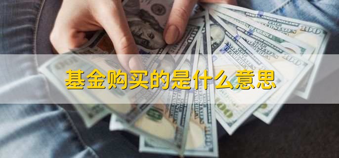 基金购买的是什么意思，基金定投暂停如何操作