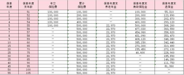 爱心人寿百岁人生养老年金保险(慧享版)怎么样