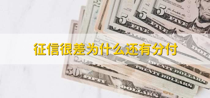 /tzlc/202115.html