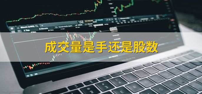 /gptz/203842.html