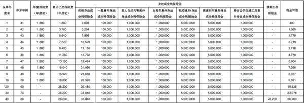 北大方正人寿行无忧(如意版)两全保险