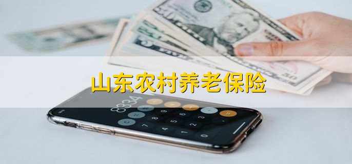 山东农村养老保险，政策有以下三种
