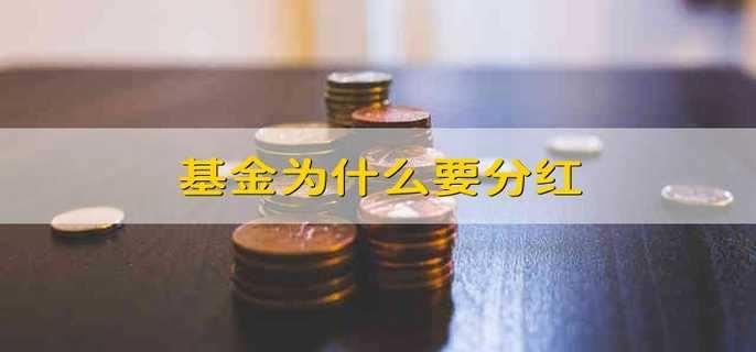 /jjhq/204432.html