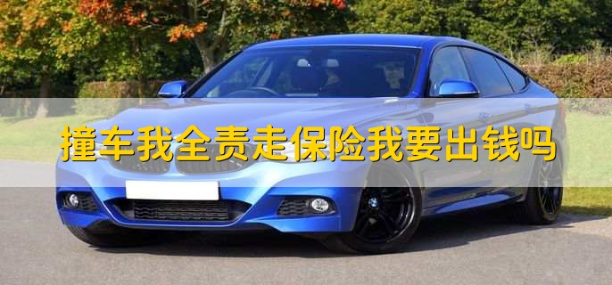 撞车我全责走保险我要出钱吗，需要看具体购买的险种
