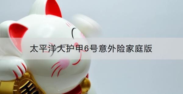 太平洋大护甲6号意外险家庭版