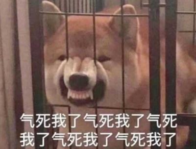 狗狗恨透主人的十种表现