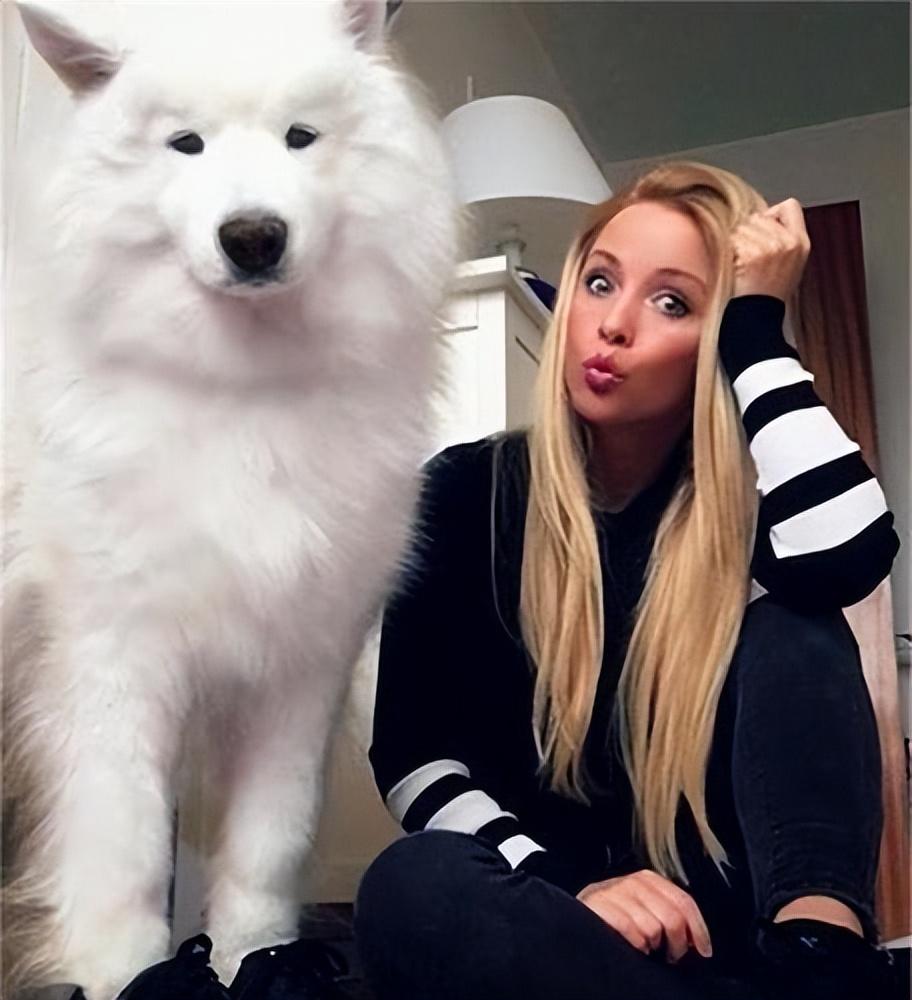 适合女生养的巨型犬（比较好养的巨型犬推荐）