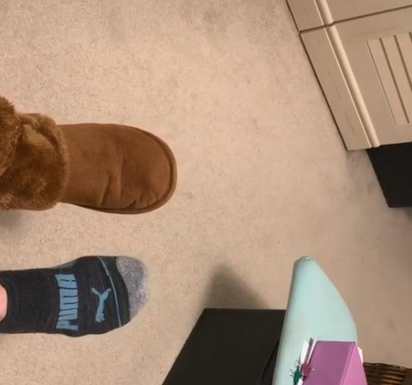 长毛狸花猫是什么品种(长毛狸花猫多少钱一只)