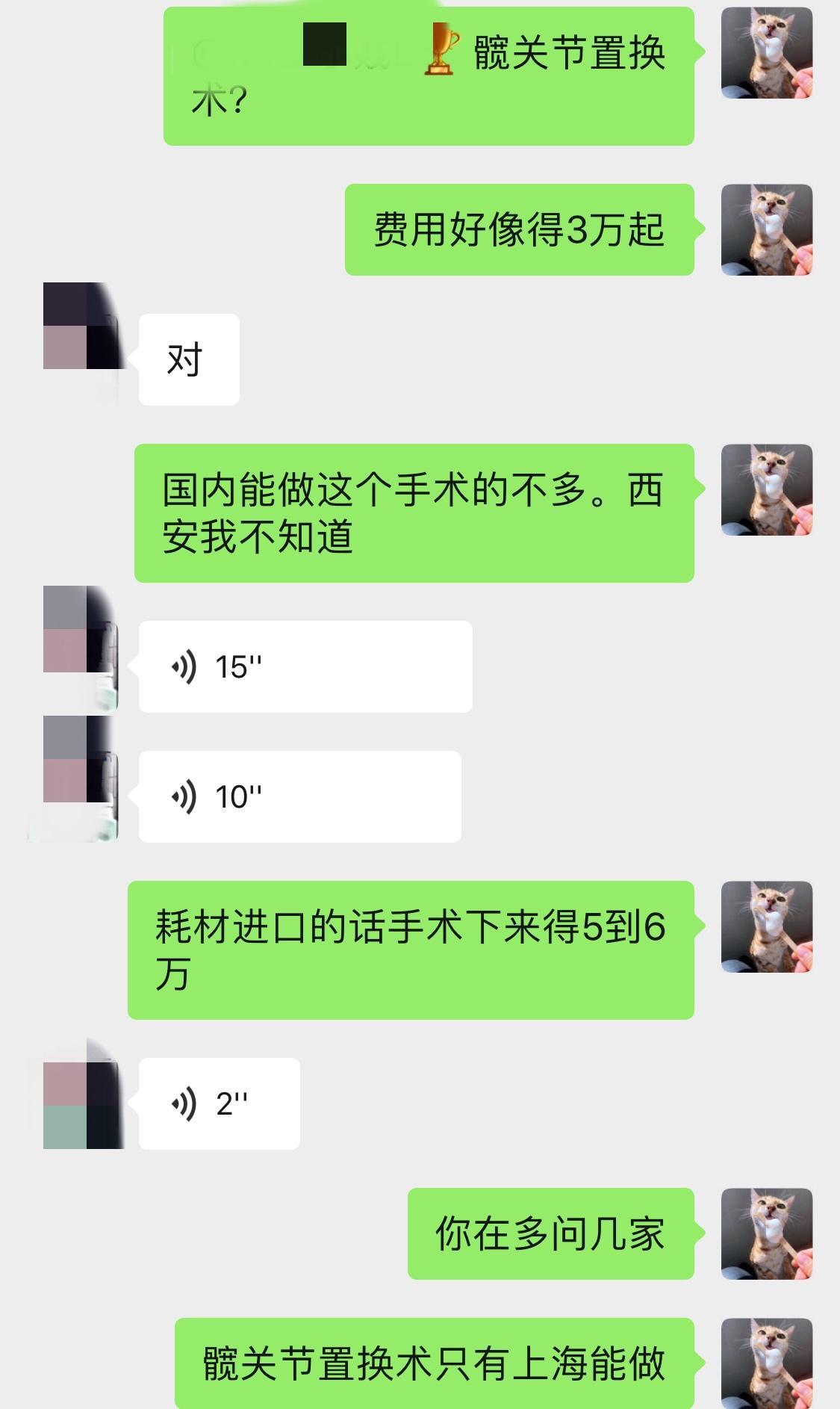 公猫绝育还长个子吗（公猫绝育早会影响骨骼发育其费用高昂）