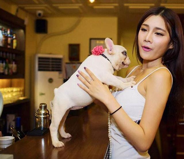 教你养法牛幼犬的正确方法