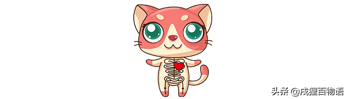 绝育猫咪怎么避免发胖（绝育后的猫要运动及合理膳食）