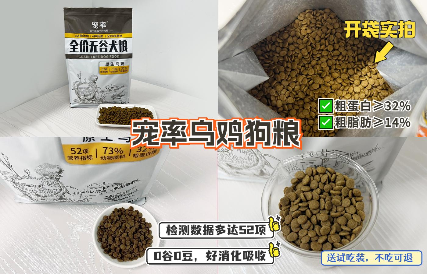 “银狐犬”为何如此少人饲养（附：狐狸犬图片）