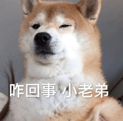 狗多大打疫苗(狗子疫苗怎么打)