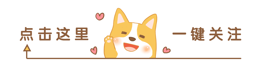 “银狐犬”为何如此少人饲养（附：狐狸犬图片）